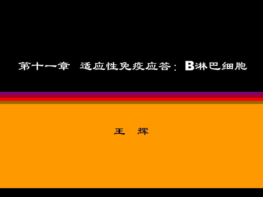 适应性免疫应答B淋巴细胞.ppt_第1页