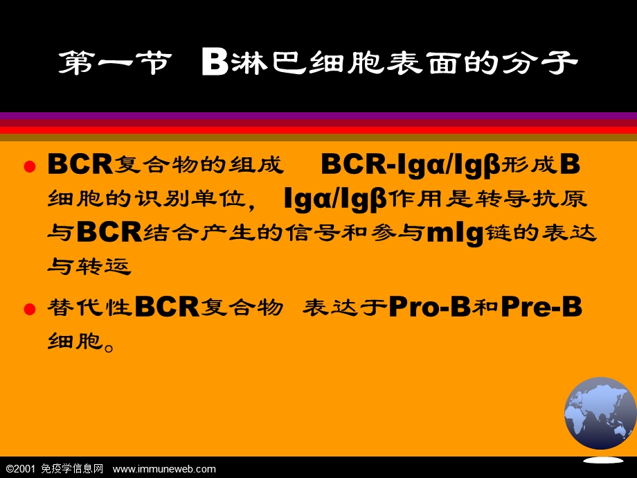 适应性免疫应答B淋巴细胞.ppt_第3页