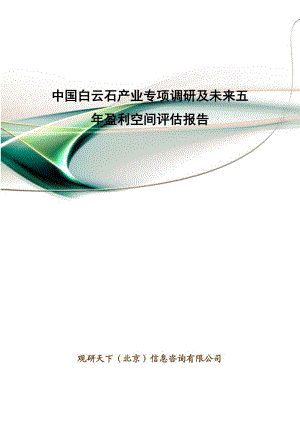 中国白云石产业专项调研及未来五年盈利空间评估报告.doc