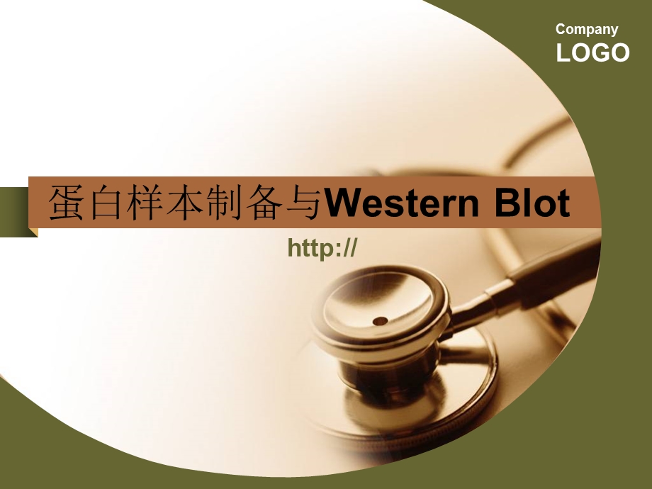 蛋白样本制备定量及western步骤详解.ppt_第1页