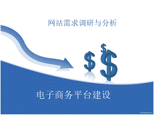 网站需求调研与分析.ppt