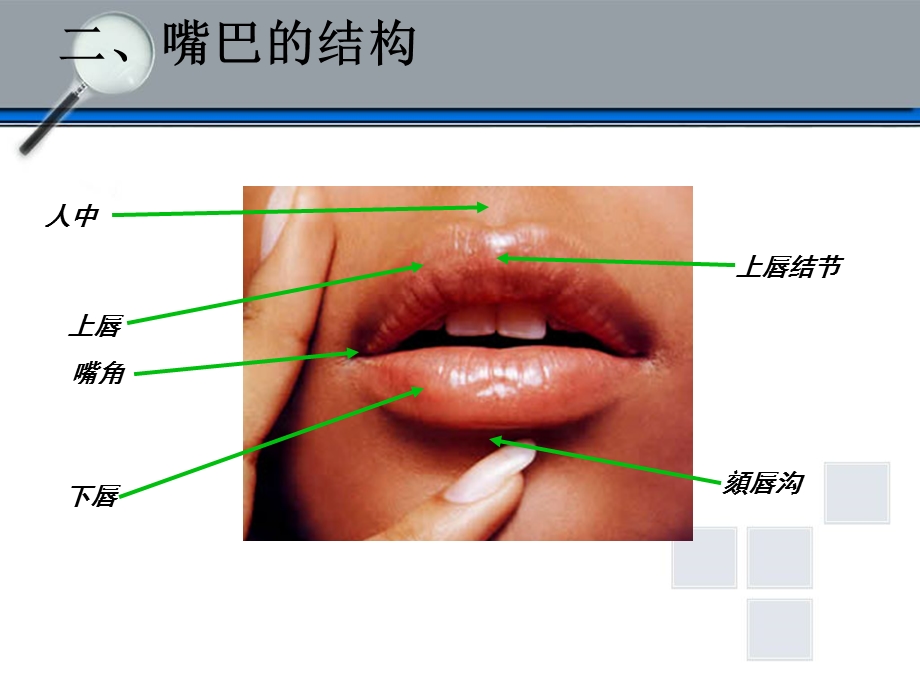 速写五官-嘴.ppt_第3页