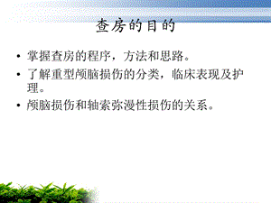 重型内开放性颅脑.ppt