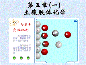 课件土壤胶体化学与表面反应.ppt