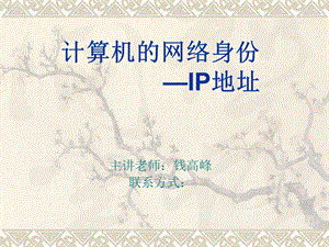 计算机的网络身份-IP地址.ppt