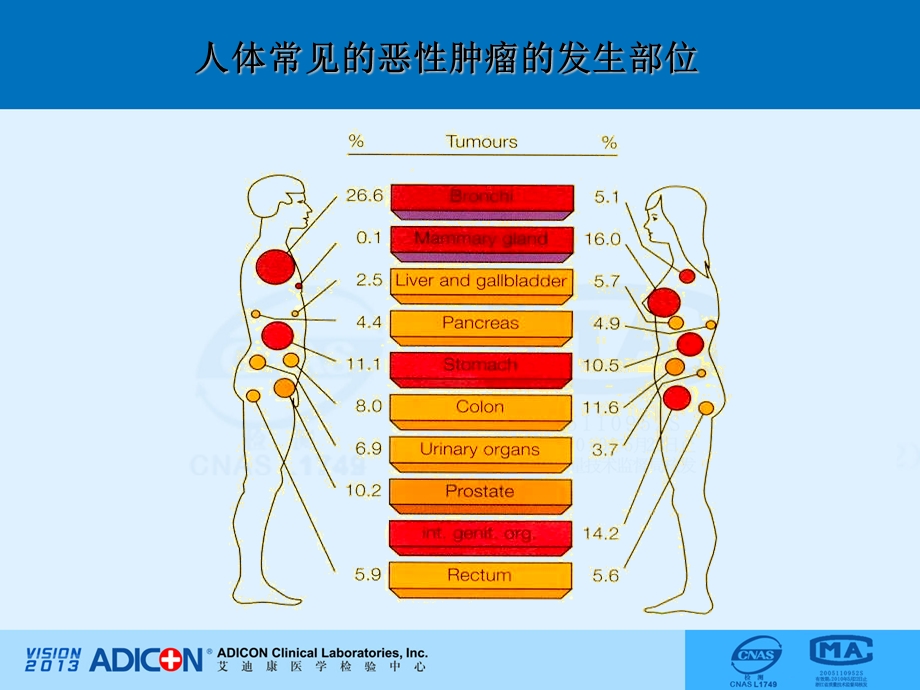 肿瘤检测与生物标志.ppt_第3页