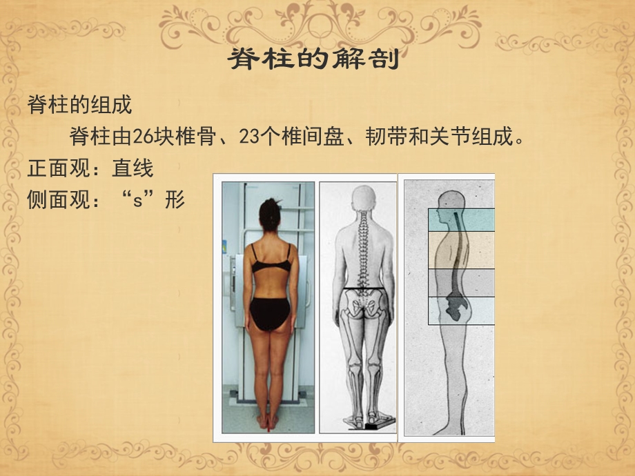 脊柱侧弯并发症.ppt_第3页