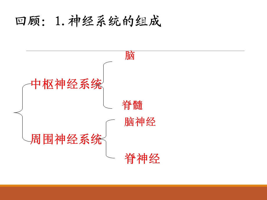 通过神经系统的调节很实用共3课时.ppt_第3页