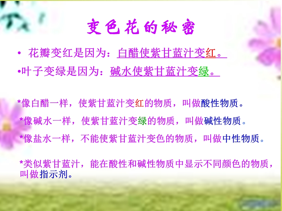 苏教版小学科学六年级上册《变色花》课件(周美琼).ppt_第3页