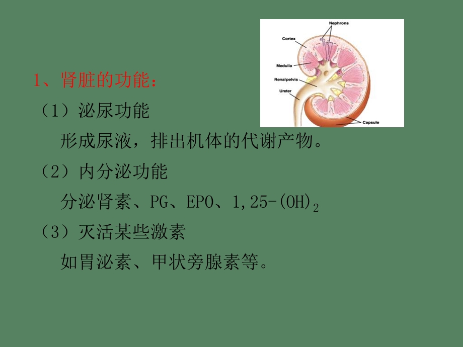 肾衰竭机能实验.ppt_第3页