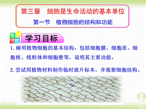 苏教版七年级上册植物细胞的结构与功能.ppt