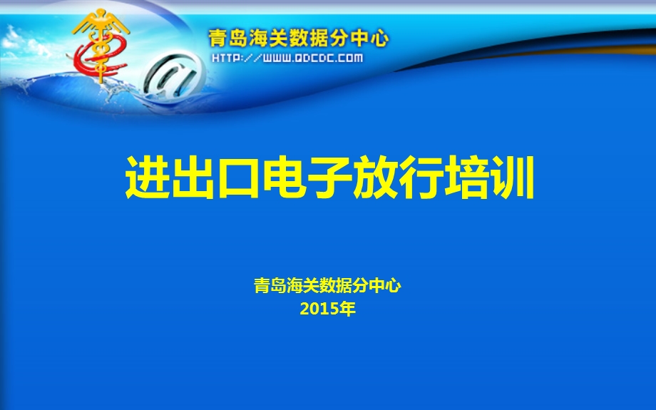 进出口电子放行培训.ppt_第1页