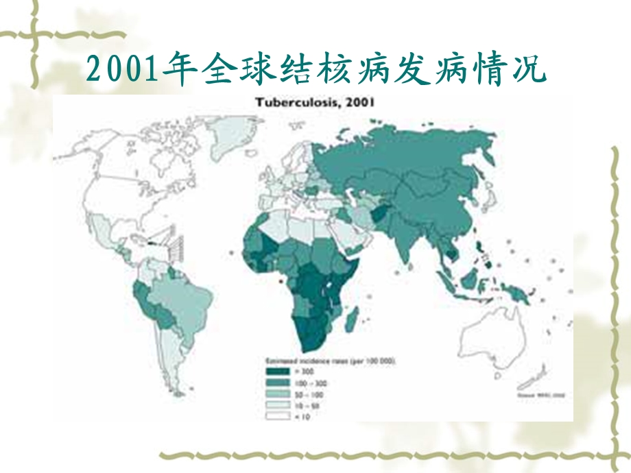 结核病和原发型肺结核.ppt_第3页