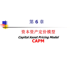 金融经济学第六章-资本资产定价CAPM理论.ppt