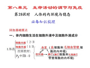 课时人体的内环境与稳态.ppt