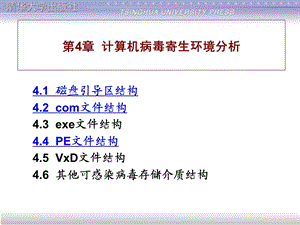 计算机病毒寄生环境分析.ppt