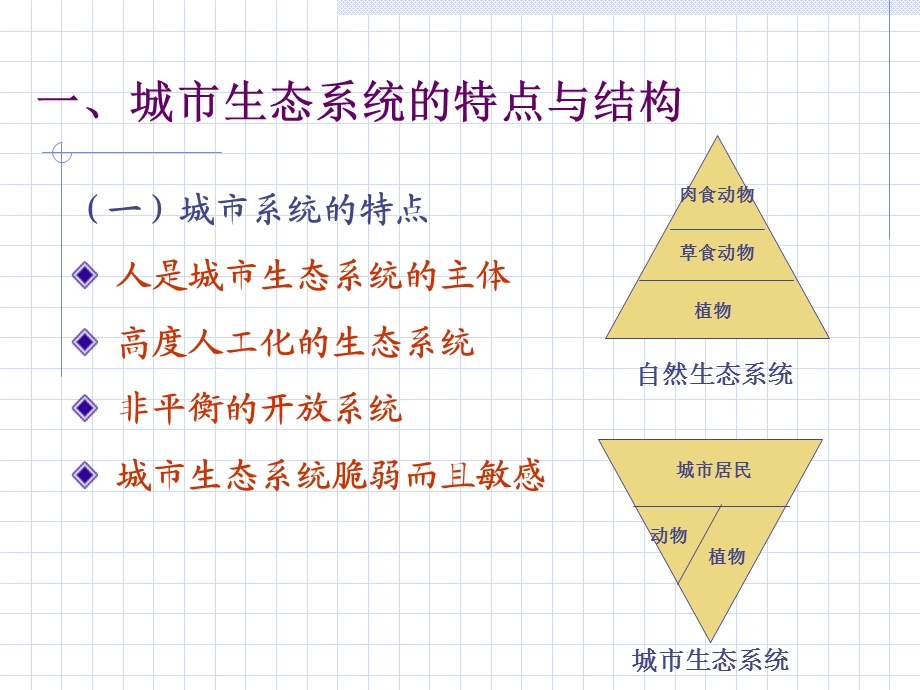 聚落地理学-生态系统.ppt_第3页