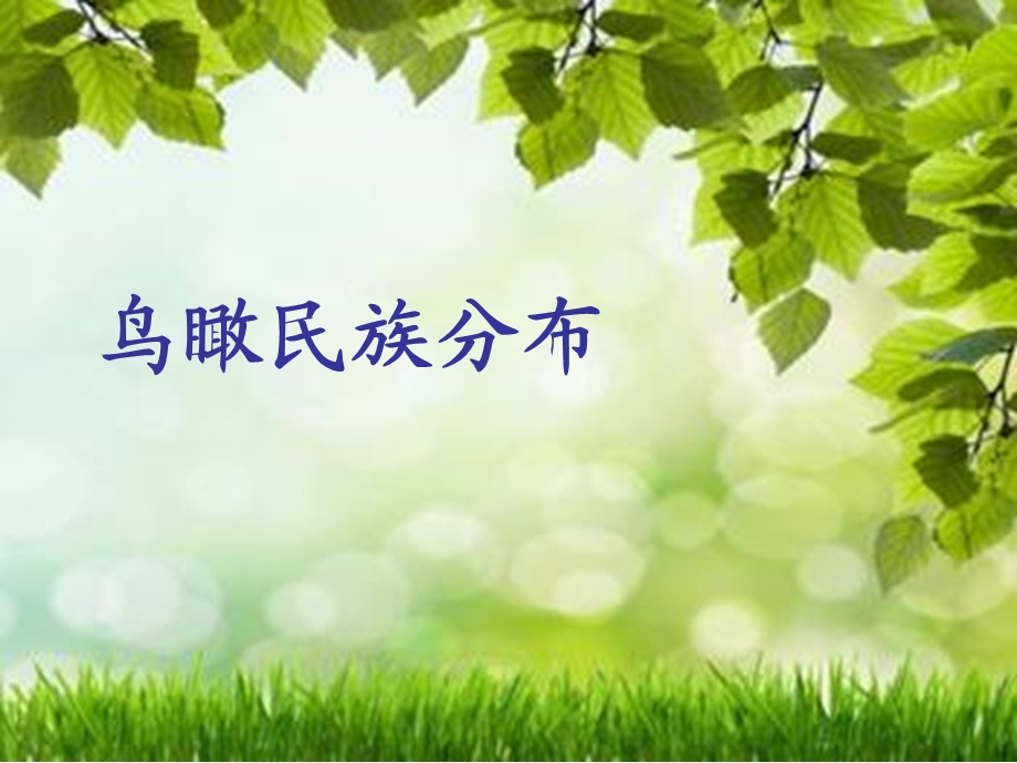 综合性研究学习.ppt_第1页