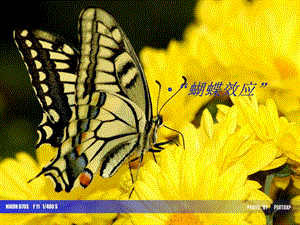 蝴蝶效应(TheButterflyE).ppt