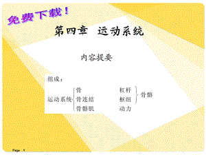 解剖学课件：运动系统.ppt