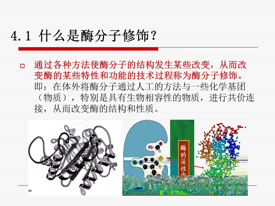 酶分子修饰(NXPowerLite).ppt_第3页