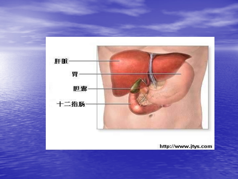 胆囊疾病及防治.ppt_第3页