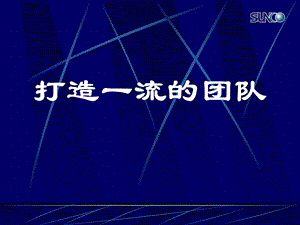 经营管理顺驰中国培训教程：浅谈团队建设-丁婷.ppt