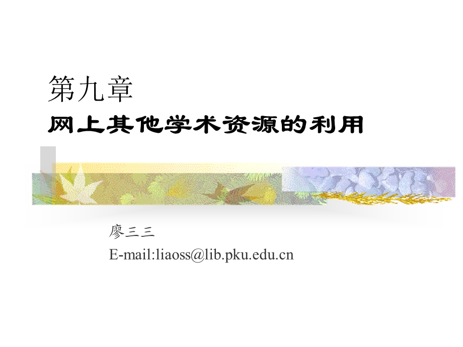 网上其他学术资源的利用.ppt_第1页