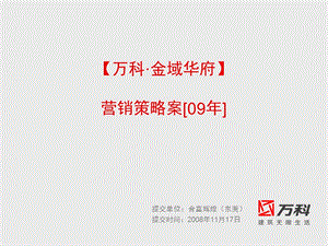 营销策略案09年.ppt