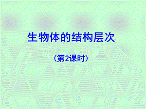 脊椎动物的分类.ppt