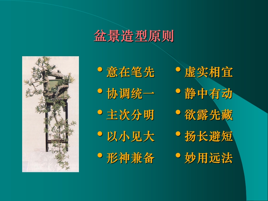 造型原则-盆景造型原则.ppt_第2页