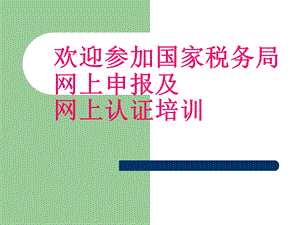 网上报税电子申报培训.ppt