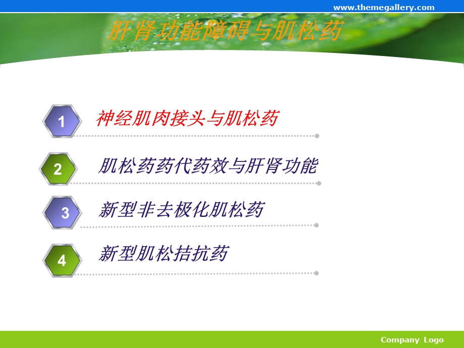 肌松药及拮抗药.ppt_第2页