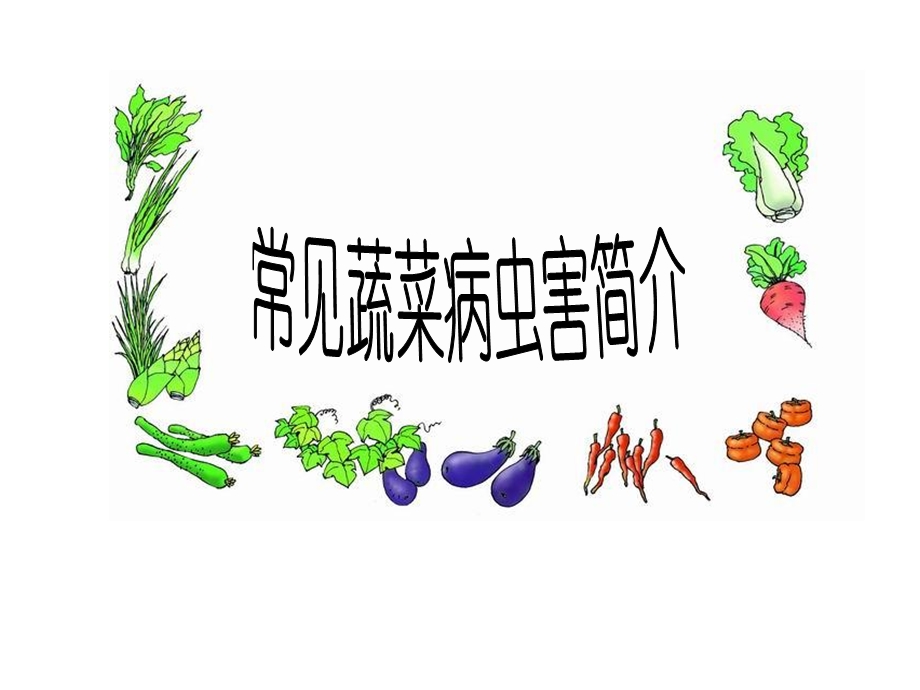 蔬菜病虫害推广班培训.ppt_第3页