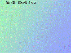 网络营销实训.ppt