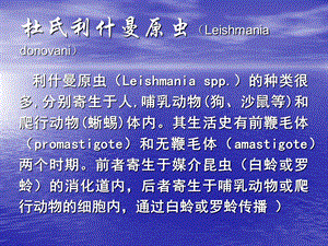 杜氏利什曼原虫Leishmaniadonovani.ppt