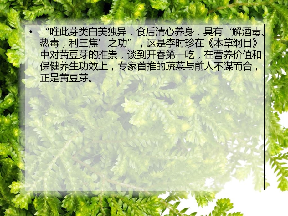 经常吃黄豆芽维生素B2缺乏症远离你.ppt_第2页