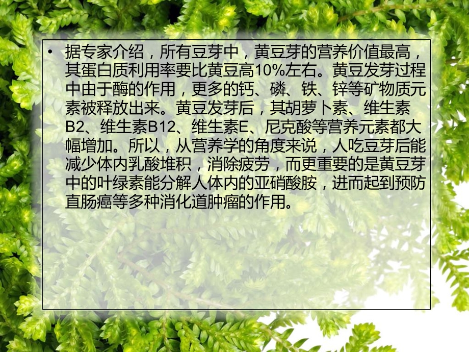 经常吃黄豆芽维生素B2缺乏症远离你.ppt_第3页