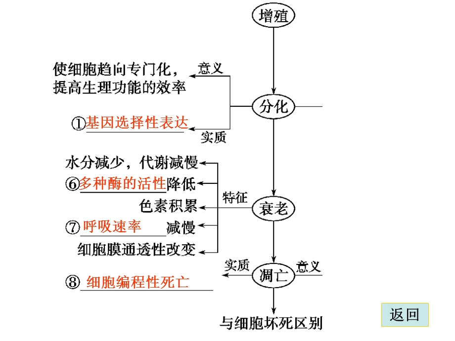 点击此处.ppt_第2页