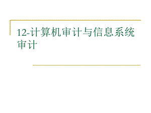 计算机审计与信息系统审计.ppt