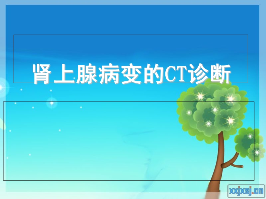 肾上腺病变的CT诊断梁雯雯.ppt_第1页