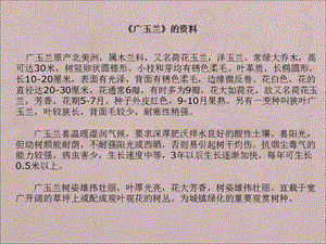 苏教版小学语文六年级下册18《广玉兰》PPT课件.ppt