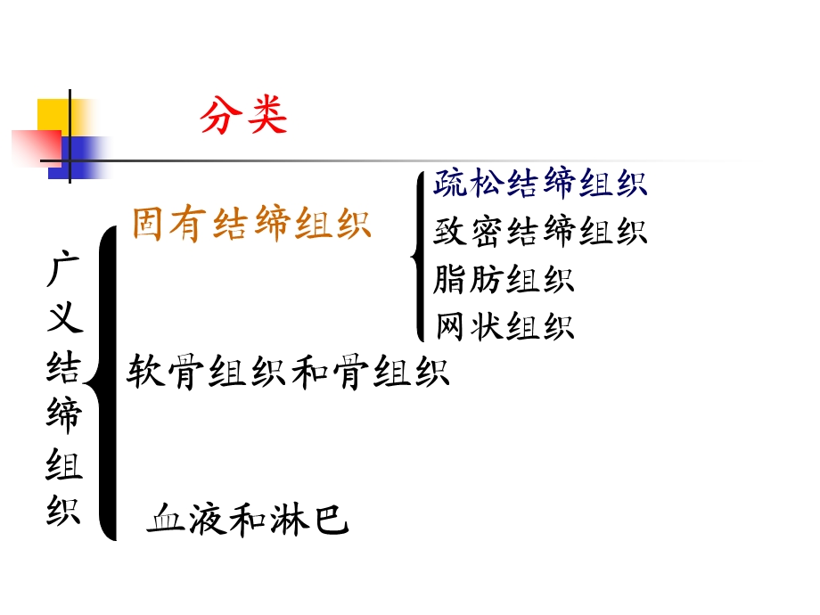 结缔组织、软骨和骨.ppt_第3页