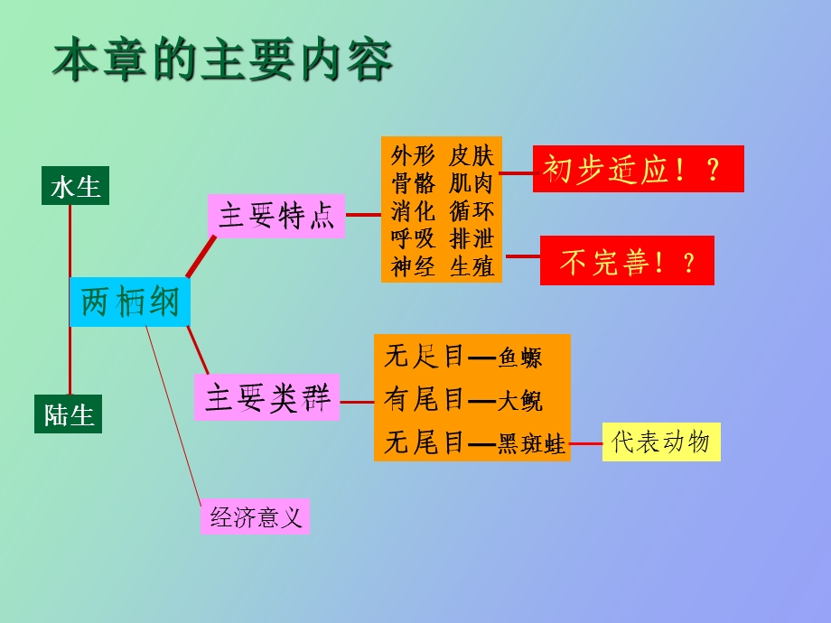 脊椎动物四两栖纲.ppt_第3页