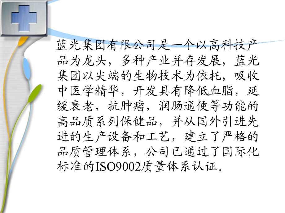 蓝光集团项目投资案例.ppt_第2页