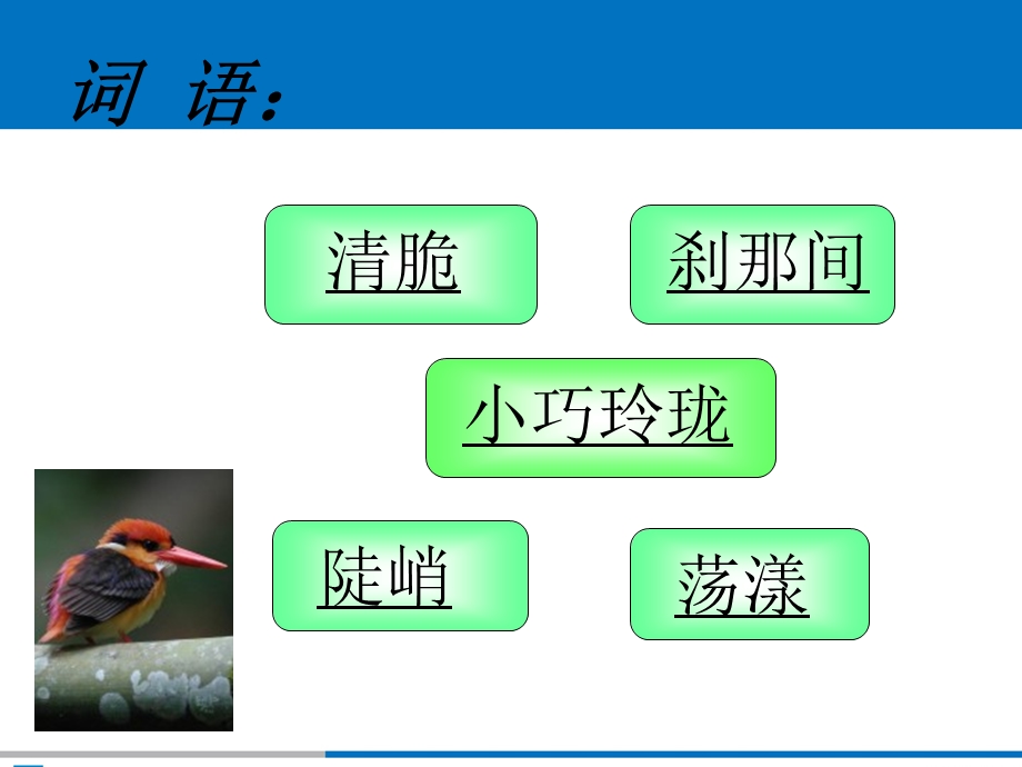 翠鸟课件(北师大语文3A).ppt_第3页