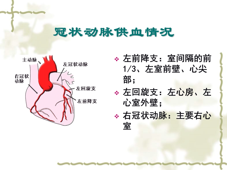 缺血型心肌损害.ppt_第2页