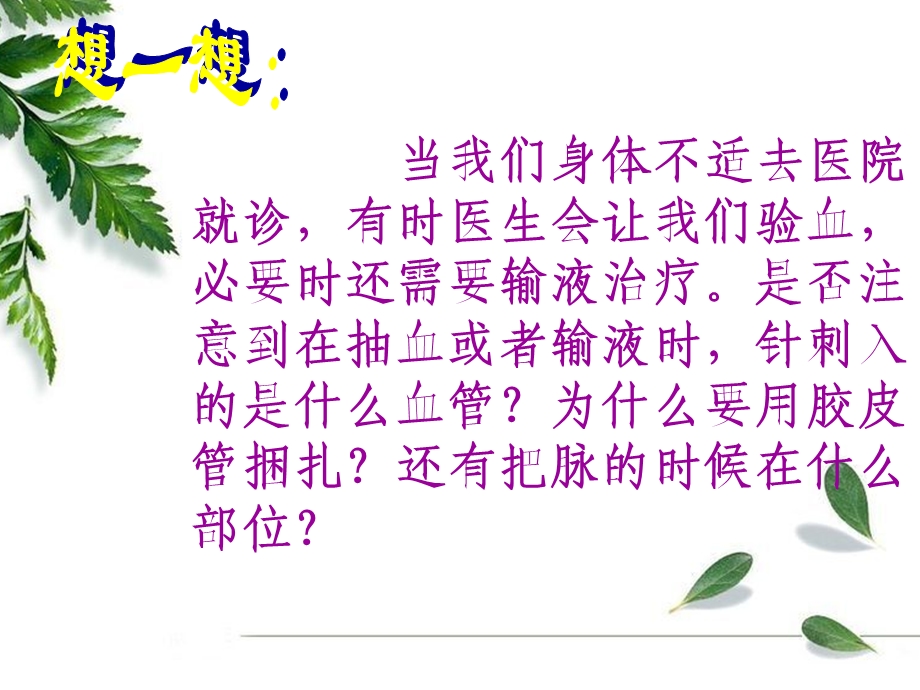 通常具有防止血液倒流的静脉瓣.ppt_第3页