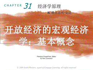 经济学原理课件princ-ch31-presenta.ppt