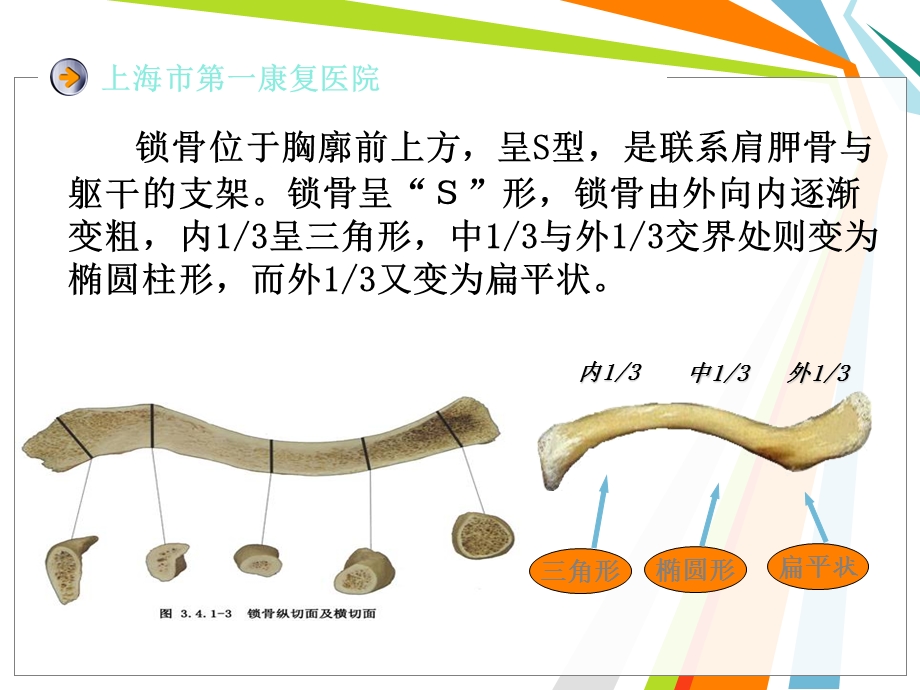 锁骨骨折内固定.ppt_第3页